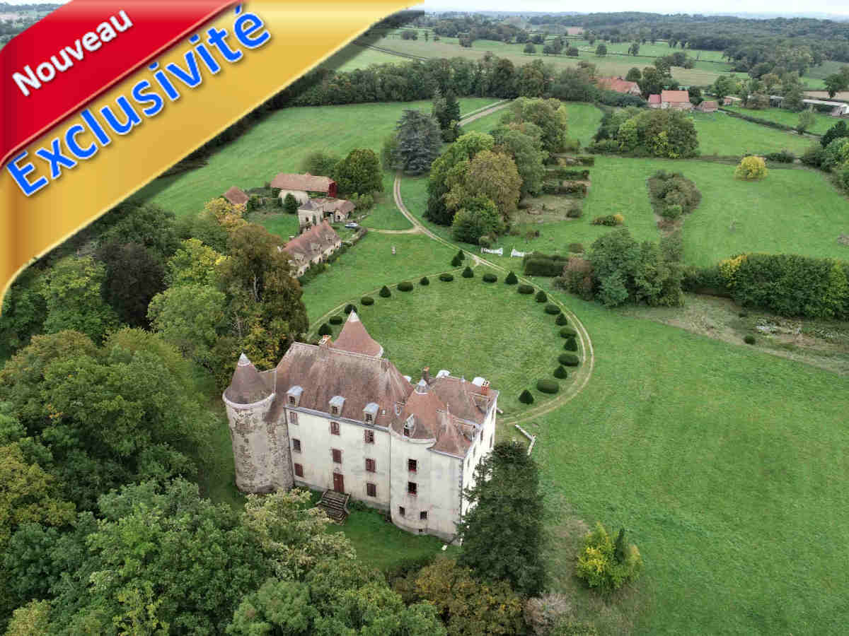 Château féodal remanié à vendre Allier 03 / Cher 18, à rénover. 45 ha: étangs, bois, prairies, jardins… 2 corps de ferme, 2 maisons de régisseur